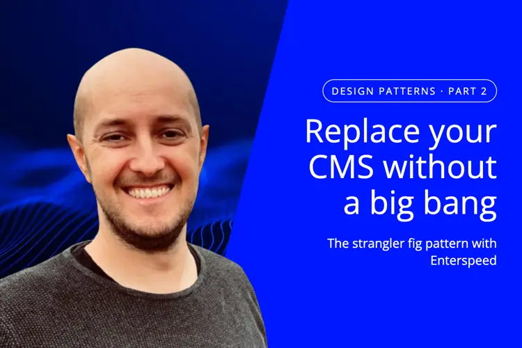 Thumbnail for blog post: Replace your CMS without a big bang: the strangler fig pattern with Enterspeed