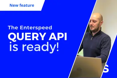 Thumbnail for blog post: Launching the Enterspeed Query API