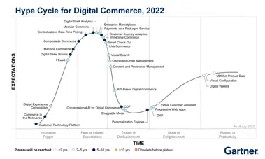 Thumbnail for blog post: Gartner coining DXC as ”our” category